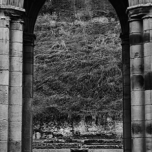 DSC07836Mount Grace priory D.jpg