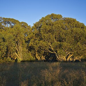 Craigs Hut Pano-small 1.jpg