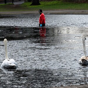iceman and swans-4.jpg