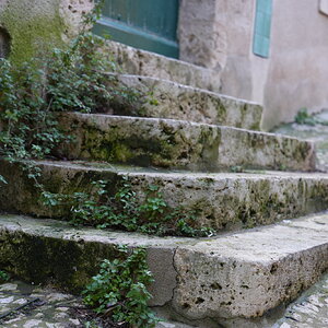 DSC00592.JPG