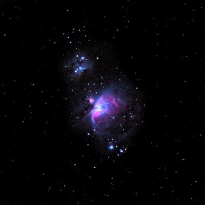 ORION NEBULA 1004 secs.jpg