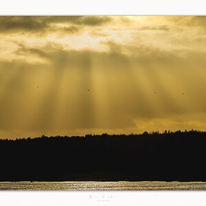 Rays of Flight