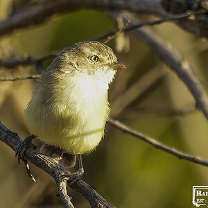 Murray-Sunset 1-02-2024 (94).JPG