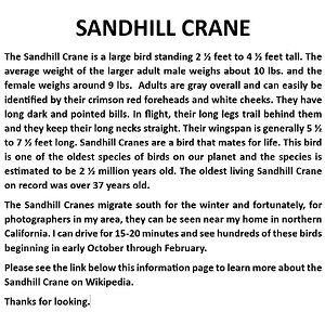 1. Crane Info.jpg