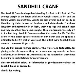 1. Crane Info.jpg