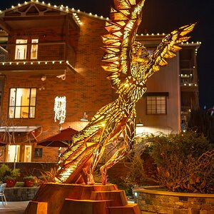 Napa Light Festival-18.jpg