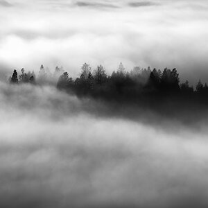 Kila Valley Fog.jpg