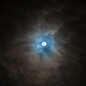 Feb Moon-005.jpg