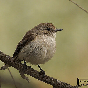 Test 23-11-2023  (45).JPG