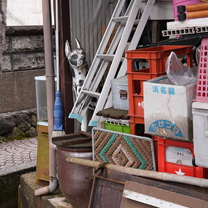DSC09104.JPG