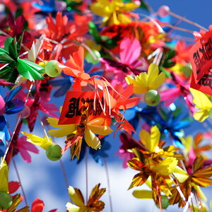 DSC08916.JPG