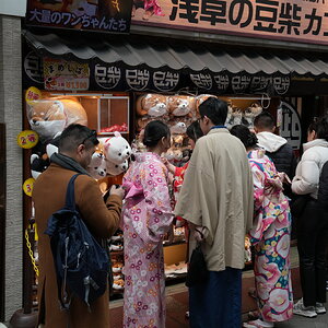 DSC08912.JPG