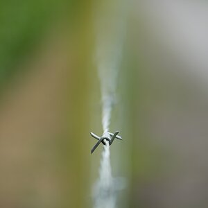 DSC00673-2048px.jpg