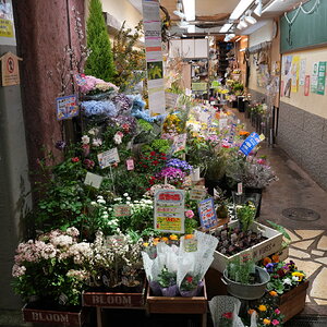 DSC09408.JPG