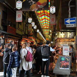 DSC09397.JPG