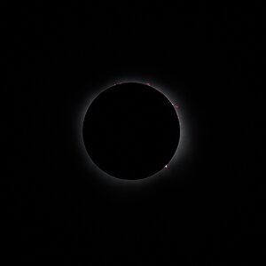 Eclipse 2024 - Erwin Park, Texas - 04082024 - 19.jpg
