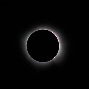Eclipse 2024 - Erwin Park, Texas - 04082024 - 21.jpg