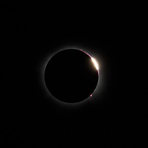 Eclipse 2024 - Erwin Park, Texas - 04082024 - 23.jpg