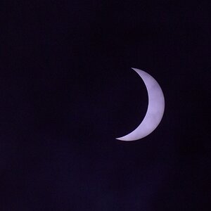 Eclipse 2024 - Erwin Park, Texas - 04082024 - 25.jpg