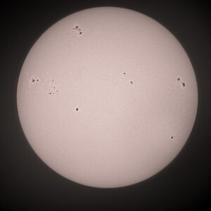 Sun 160424 reversed24S05618.jpg