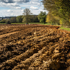 Park Hall-10.jpg