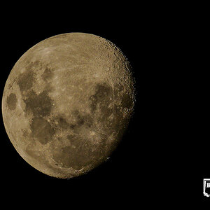 Moon 20-04-2024 (199).JPG