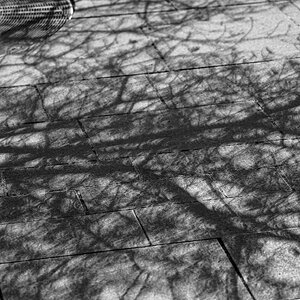 eclipse_shadows-2.jpg