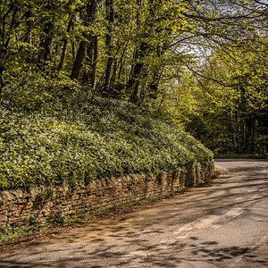 Pleasley Vale Mill Walk (7 of 19).jpg