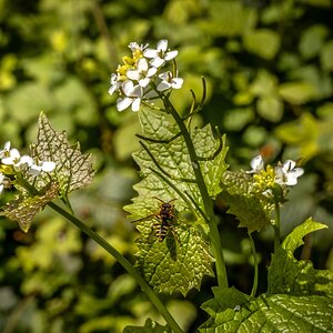 Pleasley Vale Mill Walk (8 of 19).jpg