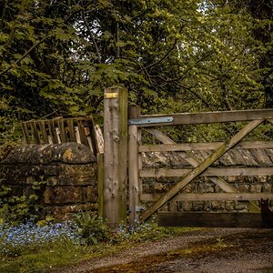 Pleasley Vale Mill Walk (11 of 19).jpg