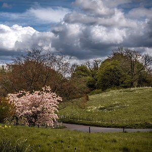 Pleasley Vale Mill Walk (12 of 19).jpg