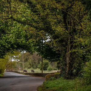 Pleasley Vale Mill Walk (13 of 19).jpg