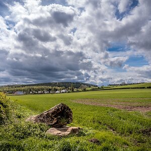 Pleasley Vale Mill Walk (14 of 19).jpg