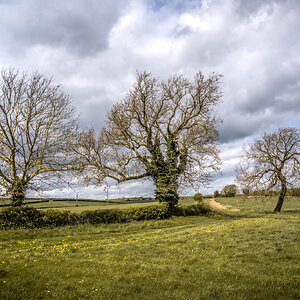 Pleasley Vale Mill Walk (17 of 19).jpg