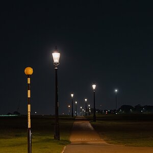 the heath at night-2.jpg