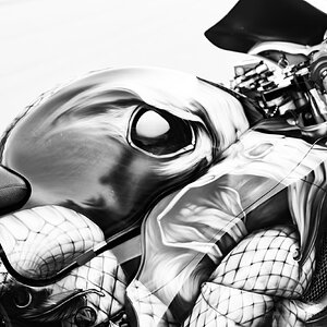 Motorcycle-5.jpg
