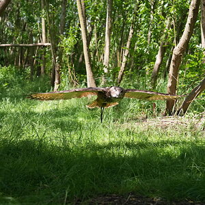 DSC06650.JPG