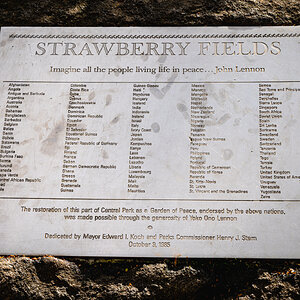 strawberry fields central park-4.jpg