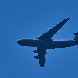 C5 - Bombay Hook NWR - 05282024 - 01.jpg