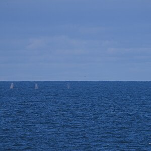 7CR07301.jpg