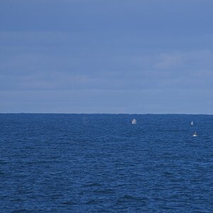7CR07306.jpg