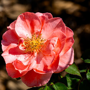 JRV02901-ARW.jpg