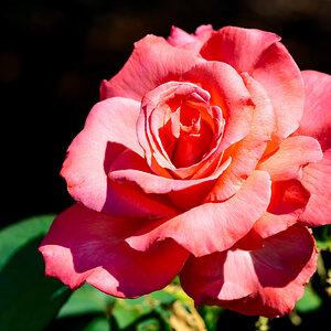 JRV02928-ARW.jpg