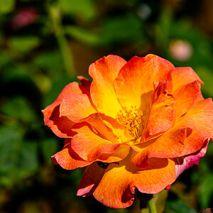 JRV02971-ARW.jpg