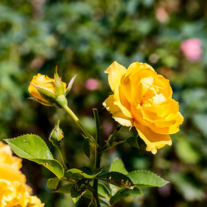 JRV02983-ARW.jpg