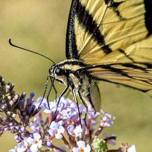 90_5076x3384.jpg