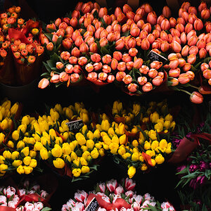 flowers-1.jpg