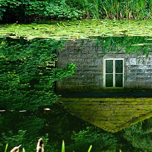 Wallington 8.jpg