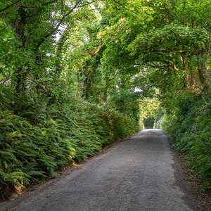 2024-07-17-walk.jpg