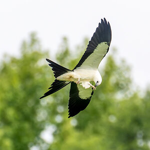 JRV08867-ARW.jpg